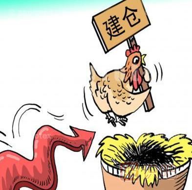 常常被主力欺騙？散戶如何應(yīng)對主力莊家操盤手法