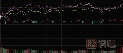 怎樣看<a href=http://m.jctcp6.com/GPRM/sy/1798.html target=_blank class=infotextkey>大盤(pán)</a>和股票的分時(shí)走勢(shì)圖
