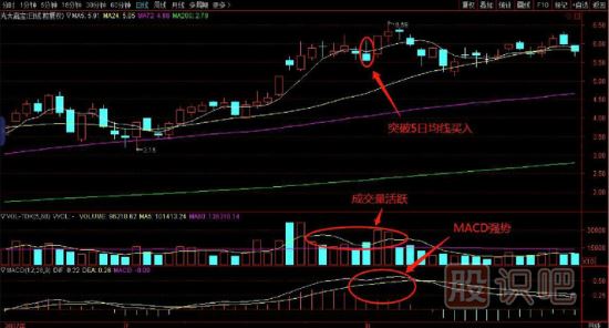 選擇強勢回調股買入法，買在5日均線處