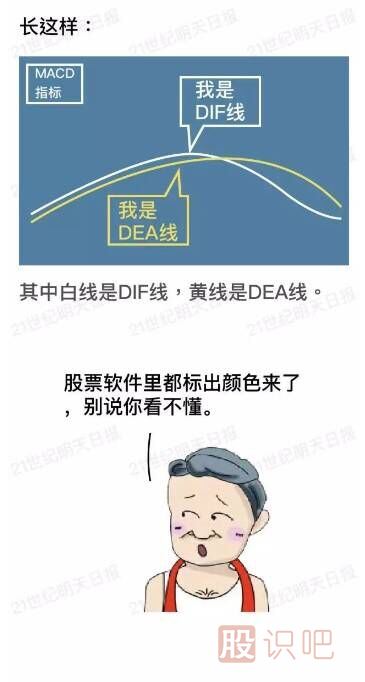 什么是MACD指標(biāo)（圖解）